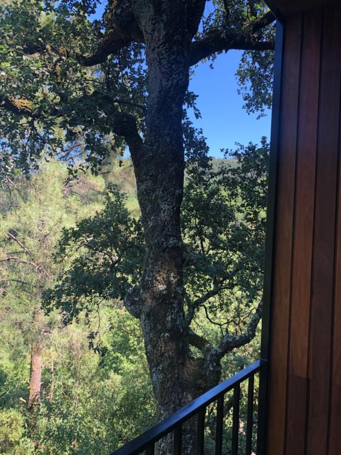 Sobreiro Valley - Casa Firmino فييرا دو مينهو المظهر الخارجي الصورة