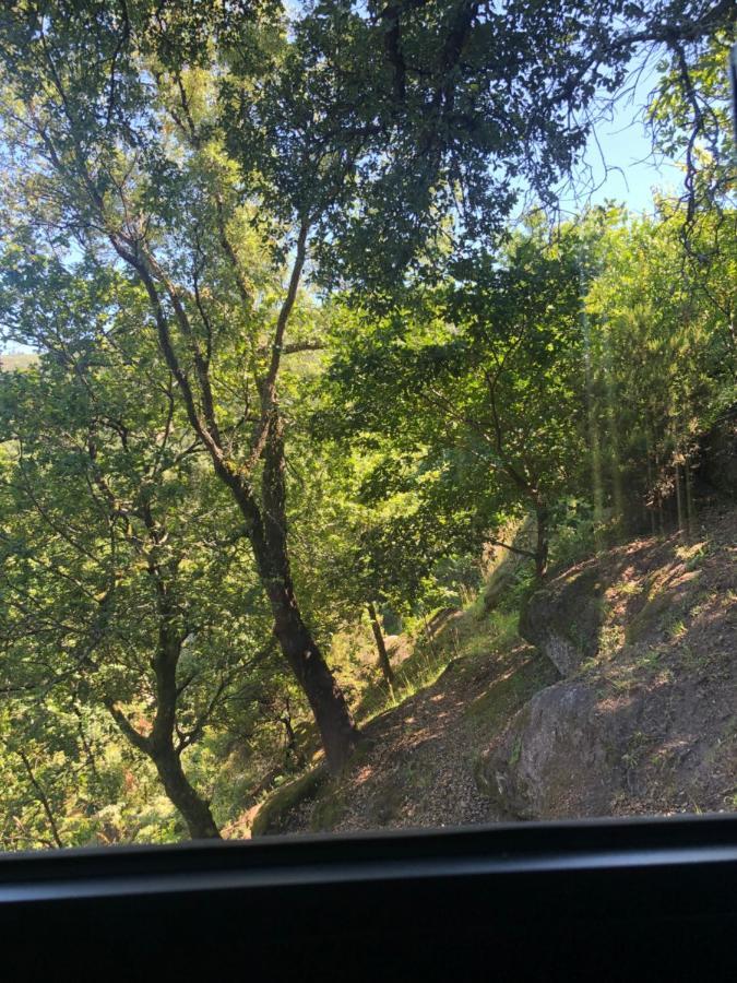 Sobreiro Valley - Casa Firmino فييرا دو مينهو المظهر الخارجي الصورة