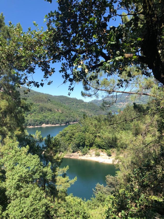 Sobreiro Valley - Casa Firmino فييرا دو مينهو المظهر الخارجي الصورة