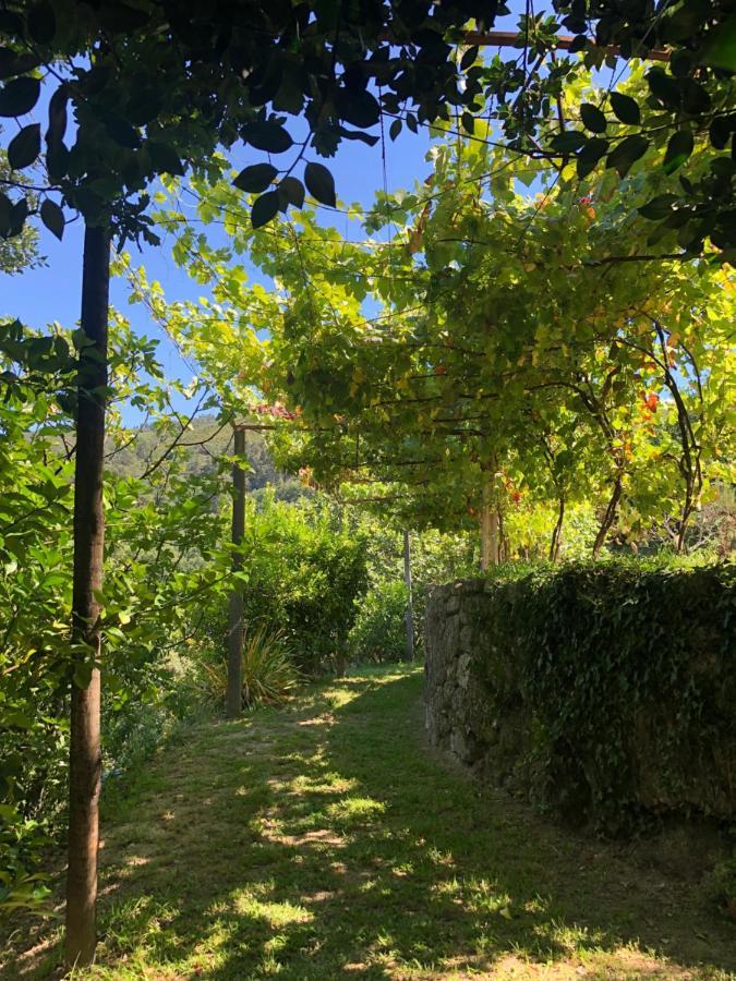 Sobreiro Valley - Casa Firmino فييرا دو مينهو المظهر الخارجي الصورة