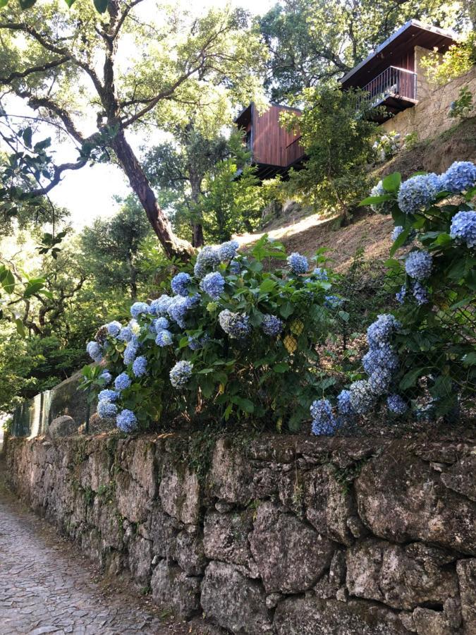 Sobreiro Valley - Casa Firmino فييرا دو مينهو المظهر الخارجي الصورة